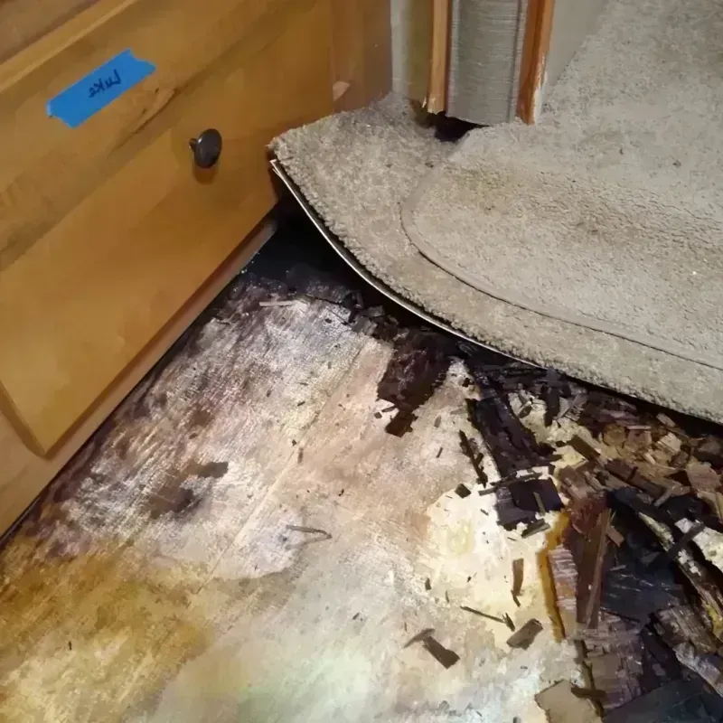 Best Wood Floor Water Damage Service in Rancho Alegre, TX